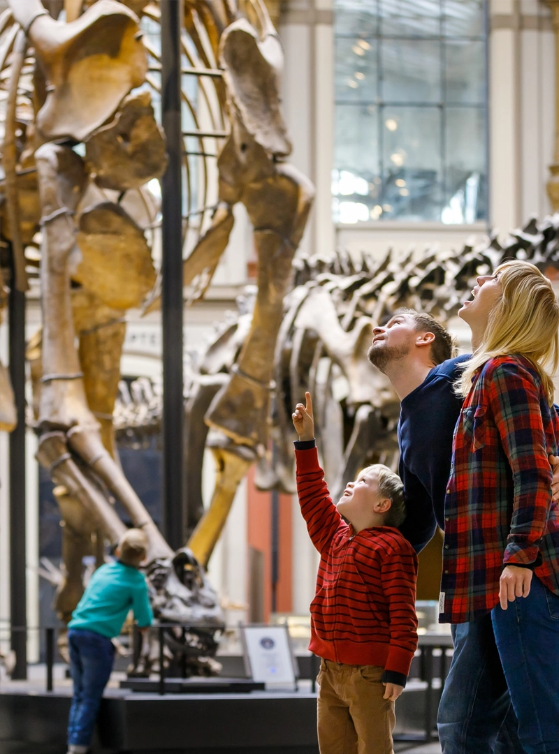 Museum für Naturkunde Berlin